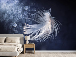 photo-wallpaper-ethereal-feather-light
