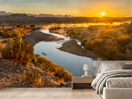 photo-wallpaper-desert-river-at-sunrise-with-prickly-pear-above-the-winding-bend