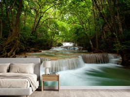 photo-wallpaper-the-7-steps