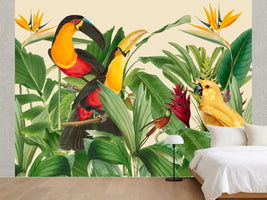 photo-wallpaper-exotic-rainforest-birds