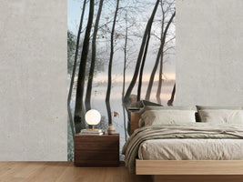 photo-wallpaper-serene-dawn-x
