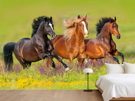 photo-wallpaper-horses-at-a-gallop