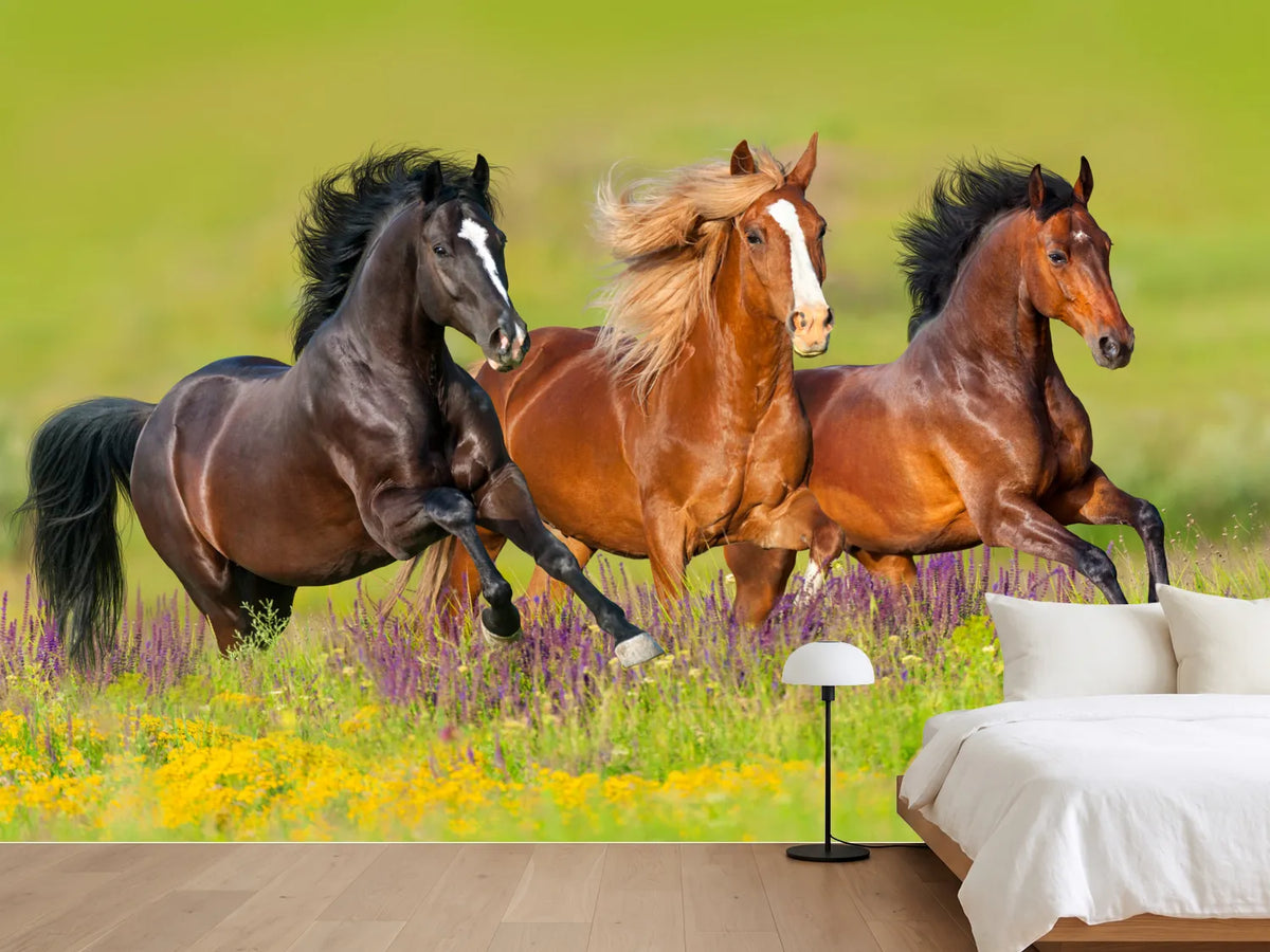 photo-wallpaper-horses-at-a-gallop