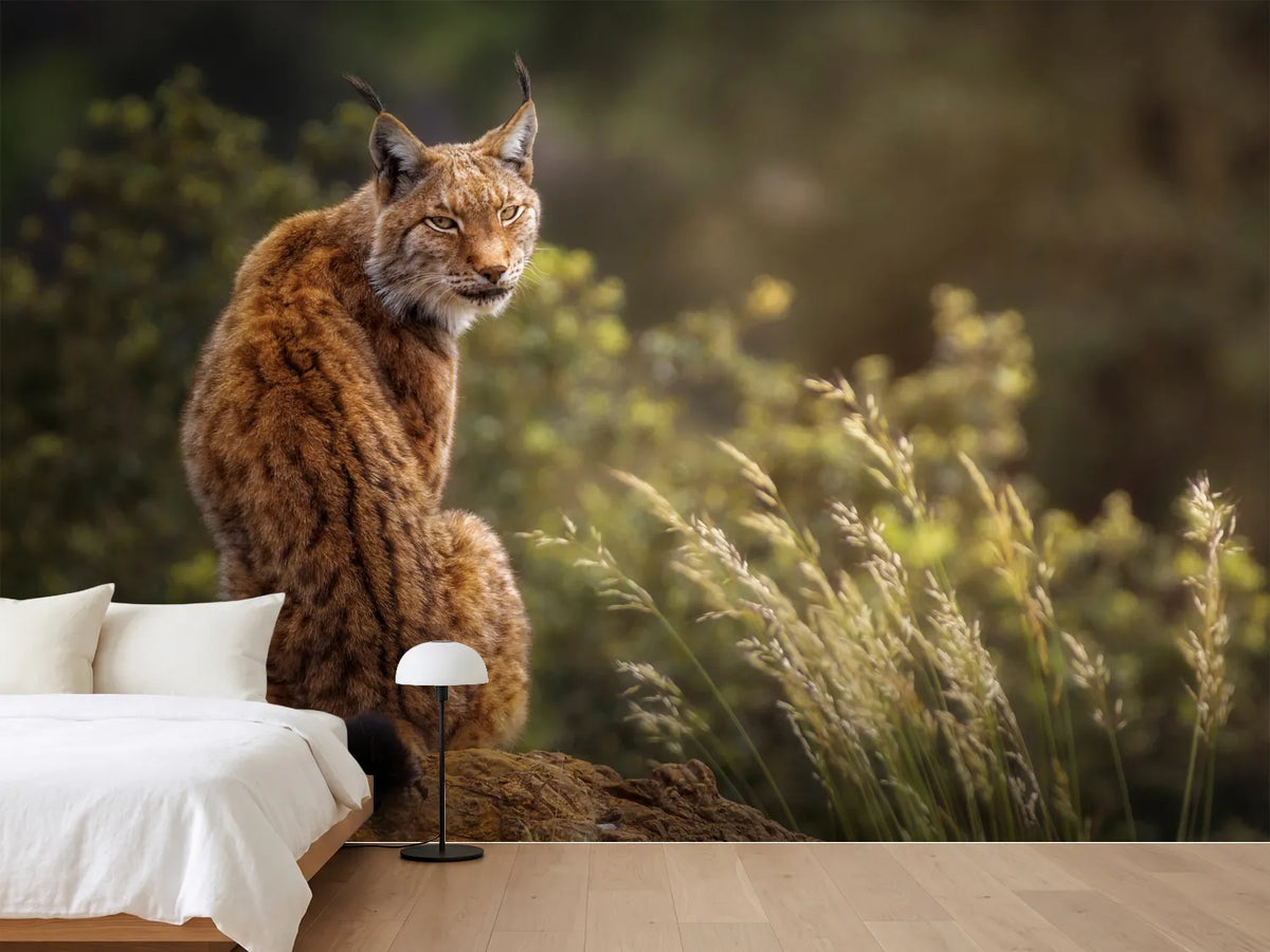photo-wallpaper-lynx-fine-art-x