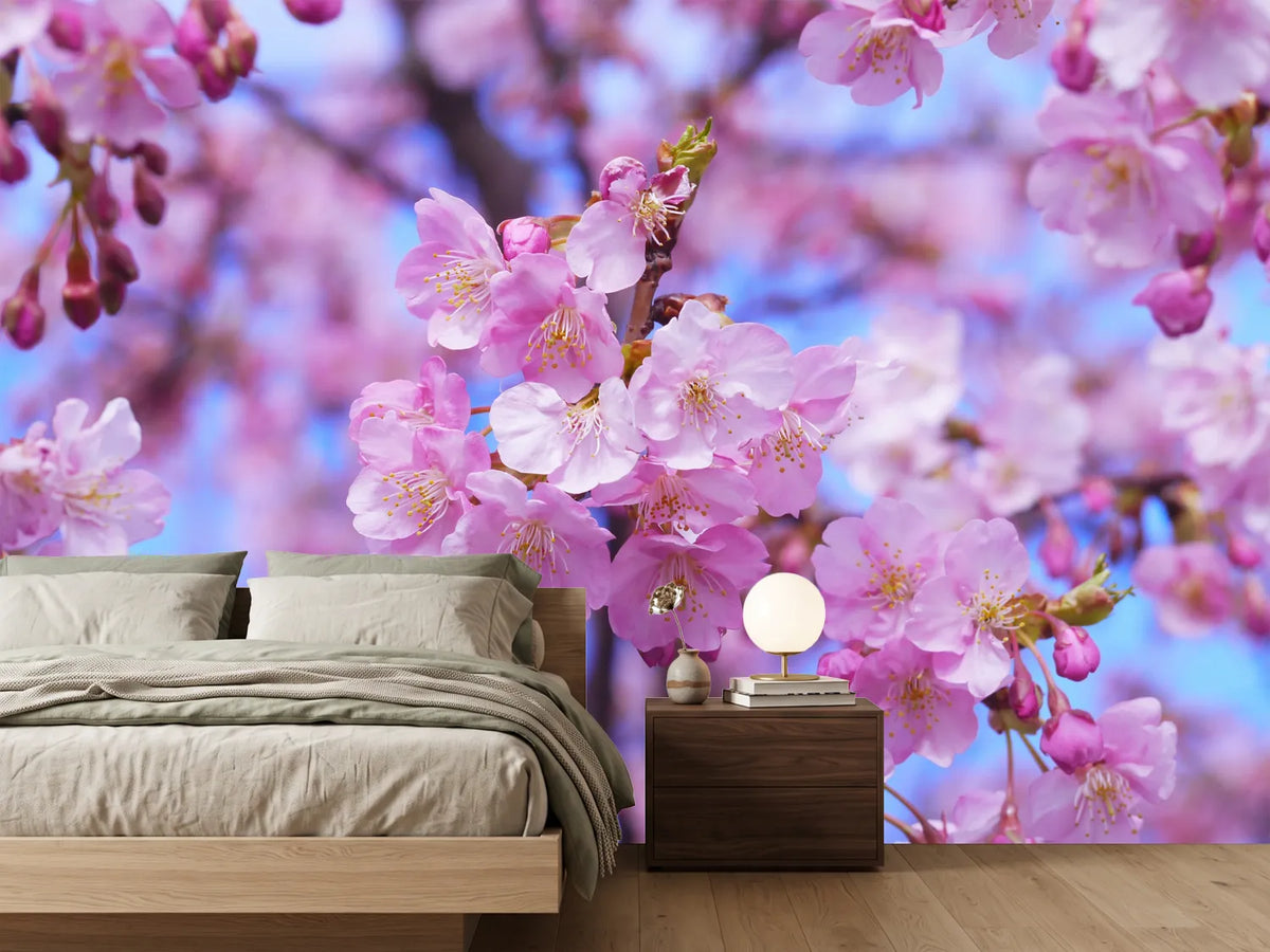photo-wallpaper-gorgeous-cherry-blossom