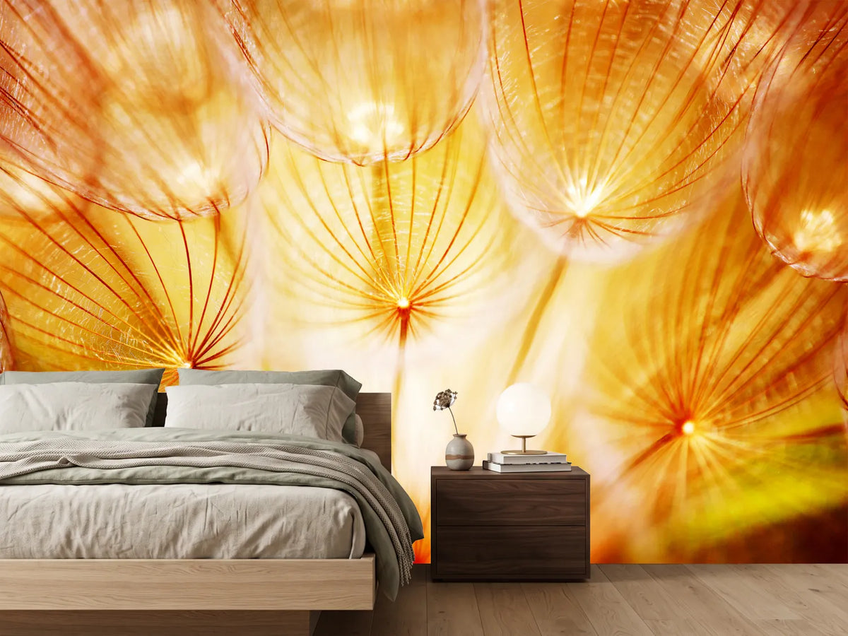 photo-wallpaper-close-up-dandelion-in-light