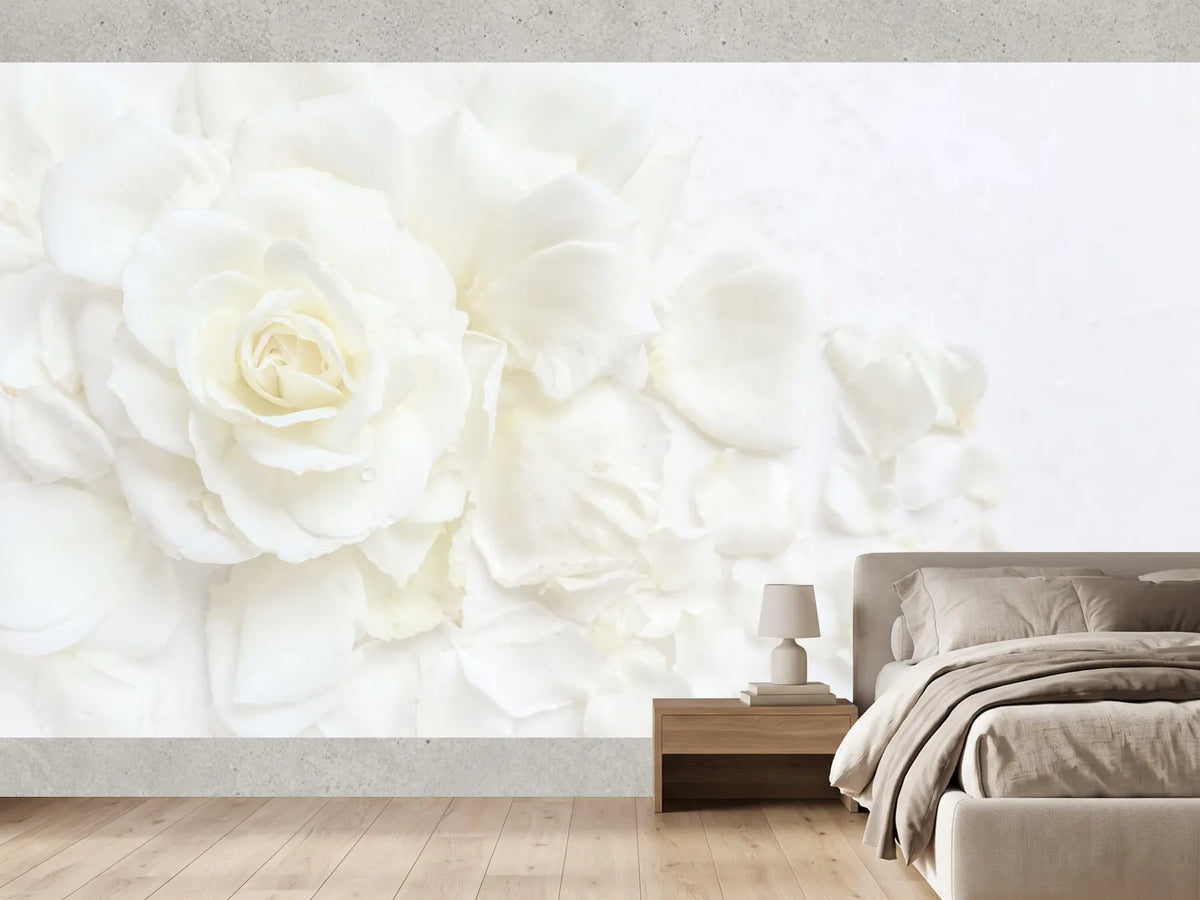 photo-wallpaper-white-rose-and-petals